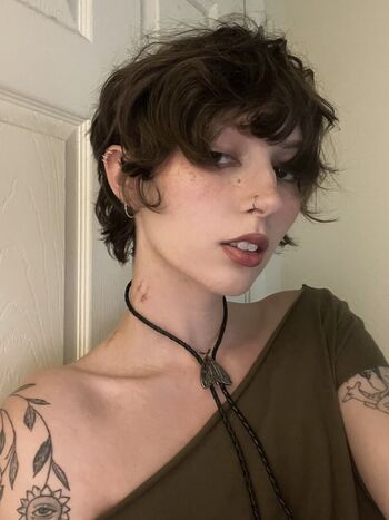 amaltheaorchid