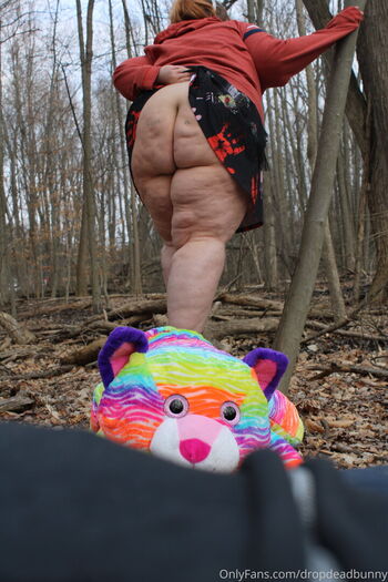 dropdeadbunny