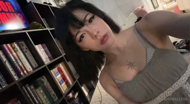 dummi.gf