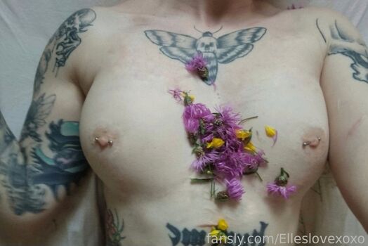 Elleslove