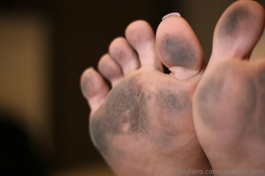 eurasian_feet