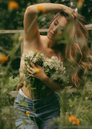 evalovia