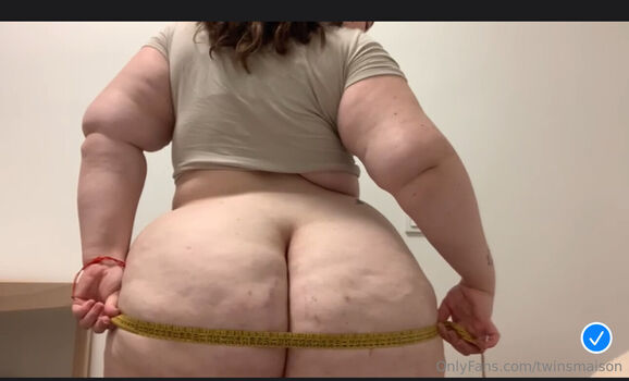 fatbigasstwins