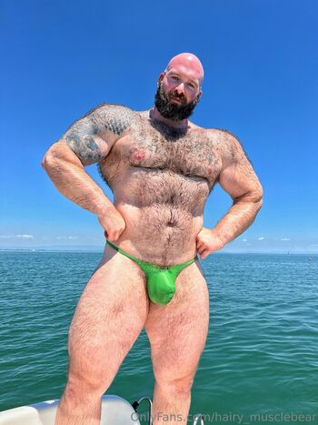 hairy_musclebear
