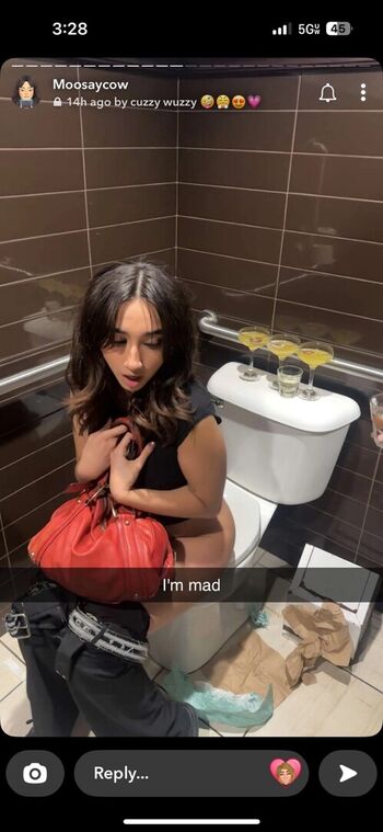 hannahlizfilter