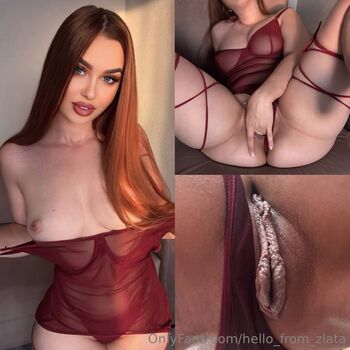 hello_from_zlata