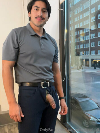 hungnextdoorbull