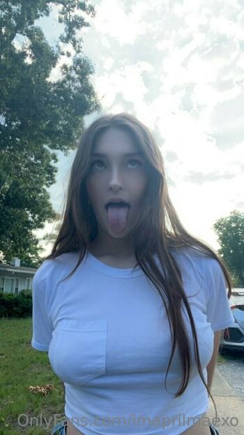 Imaprilmaexo