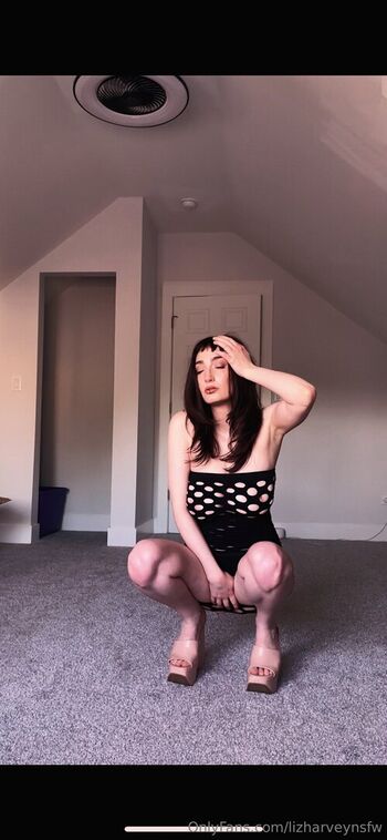 lizharveynsfw