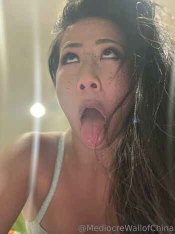 mediocrewallofchina