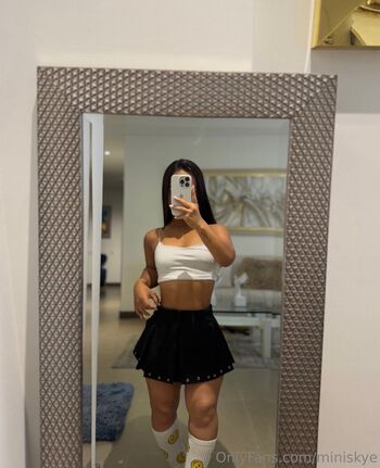 miniskye