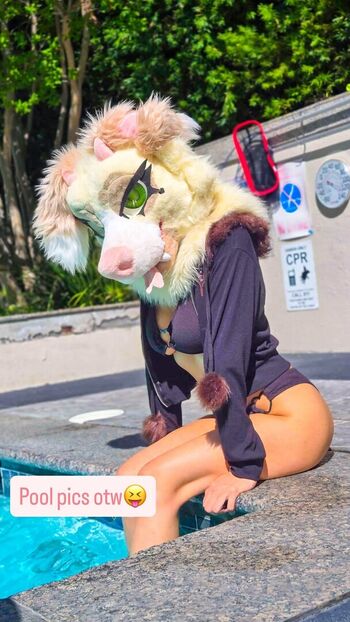 Murrsuit