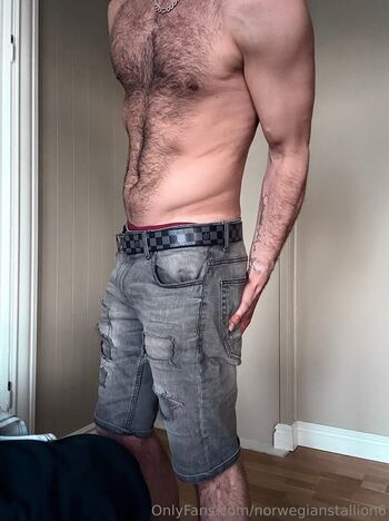 norwegianstallion6