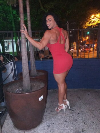 pamfreitas