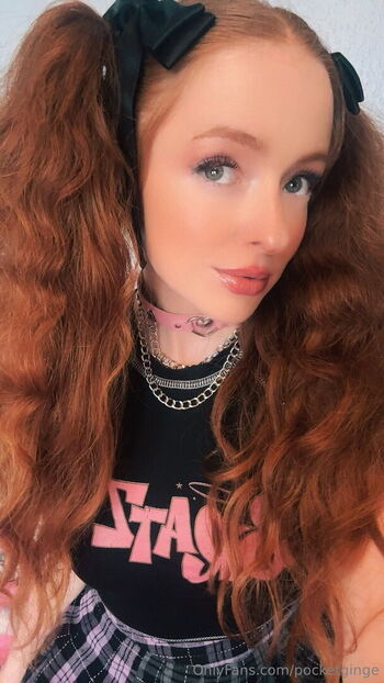 pocketginge