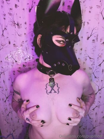 pupmoth