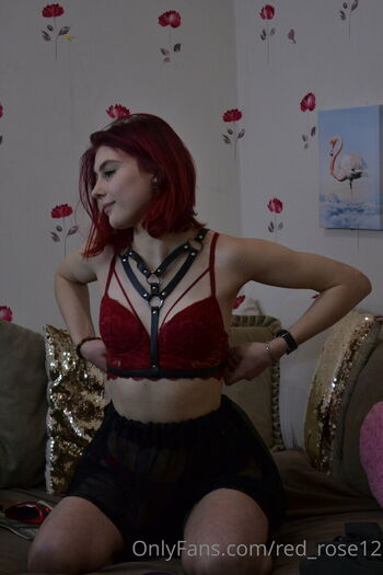 red_rose12