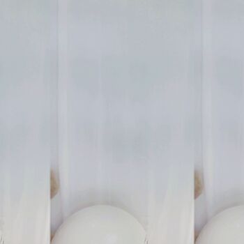 seosils2