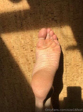 size16feet