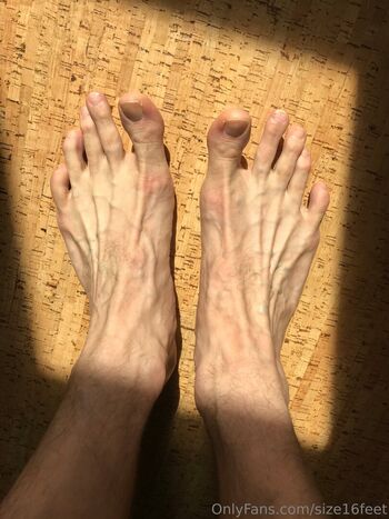 size16feet