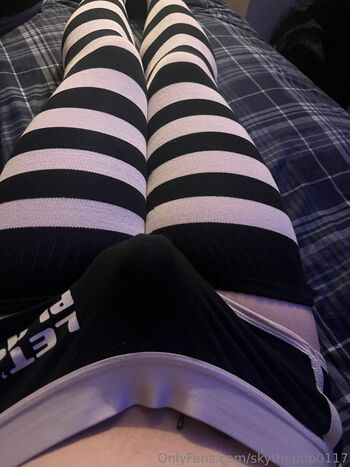 skythepup0117
