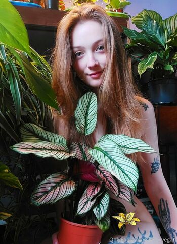 sleepyvegan