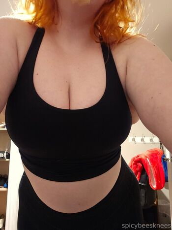 spicybeesknees