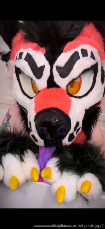 styradoggy2