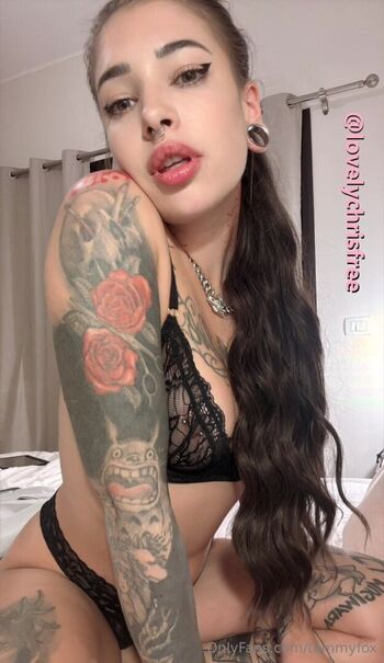 tammyfox
