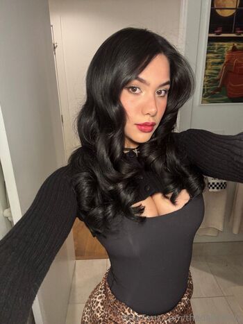 thedailydolly