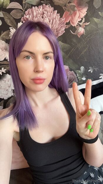 thehaydnporter