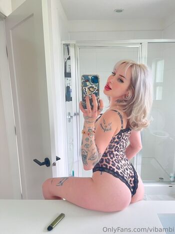 vibambi