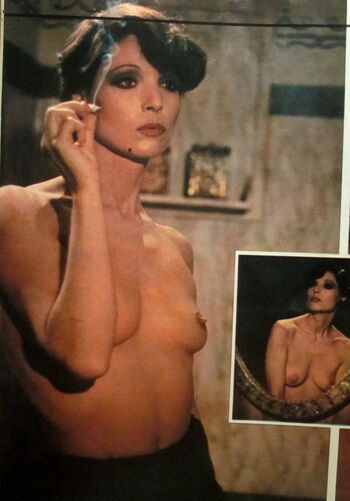 Vintage Starlets