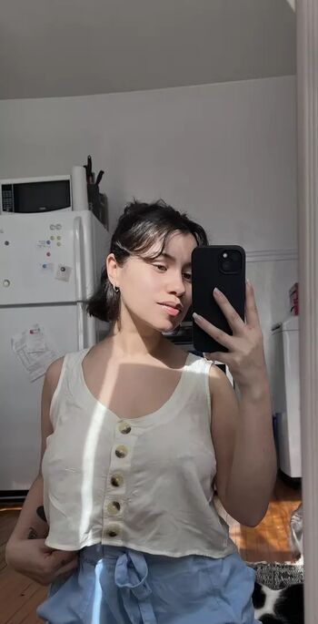 vymysela