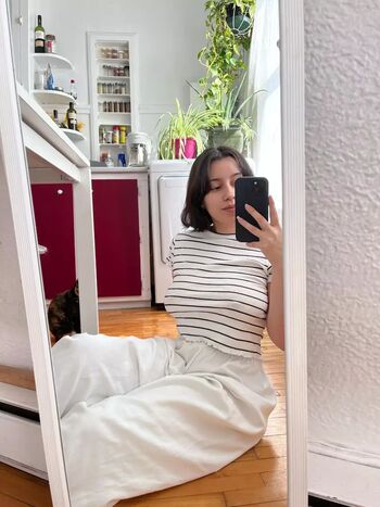 vymysela