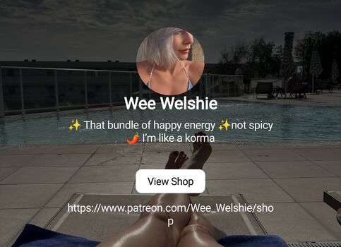 Wee_welshie